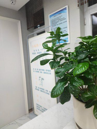 平價(jià)美容院的驚喜體驗(yàn)