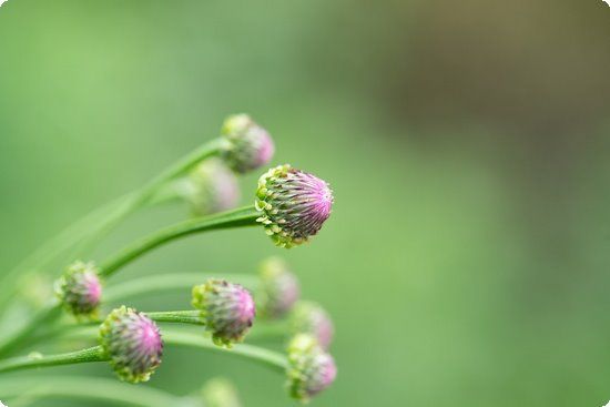 蜂蜜檸檬夏季8種超級(jí)排毒法推薦