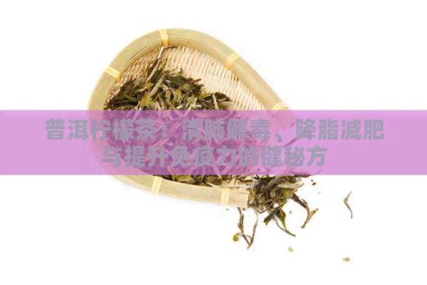 普洱柠檬茶：清肺解、降脂减肥与提升免疫力的健秘方