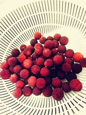 紫苏梅子姜~夏日的健康小零食的做法步骤 第1步