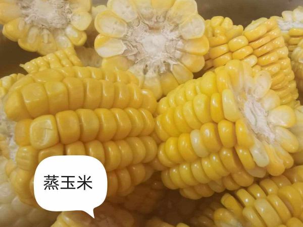 蒸玉米(蒸玉米減肥還是增肥)