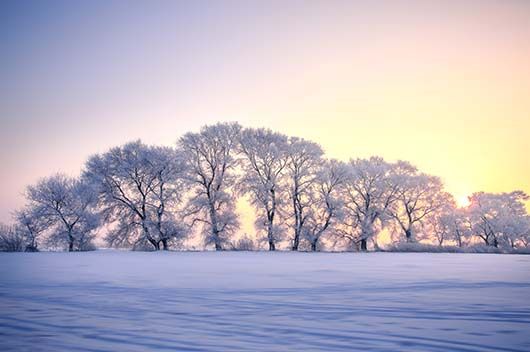 小雪節(jié)氣吃什么最好