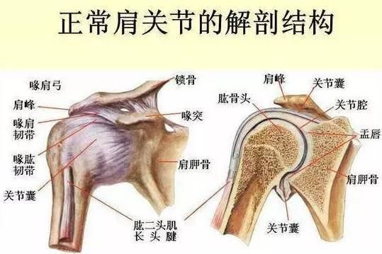 让肩伤见鬼去吧！用功能性训练提升你的肩关节健康