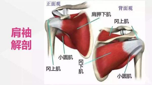 让肩伤见鬼去吧！用功能性训练提升你的肩关节健康