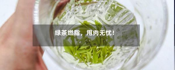 綠茶燃脂，甩肉無憂！-第1張-綠茶-鳳凰單叢茶網(wǎng)