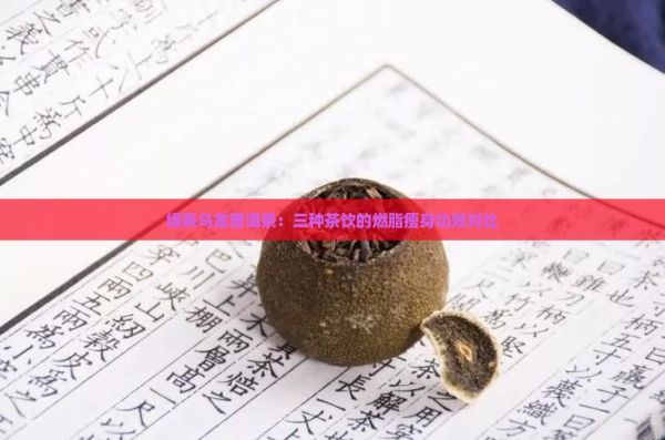 綠茶烏龍普洱茶：三種茶飲的燃脂瘦身功效對比
