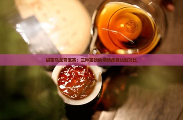 綠茶烏龍普洱茶：三種茶飲的燃脂瘦身功效對比