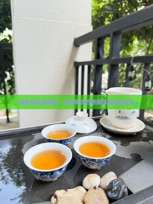 綠茶烏龍普洱茶：三種茶飲的燃脂瘦身功效對比