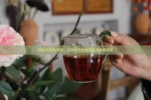 綠茶烏龍普洱茶：三種茶飲的燃脂瘦身功效對比