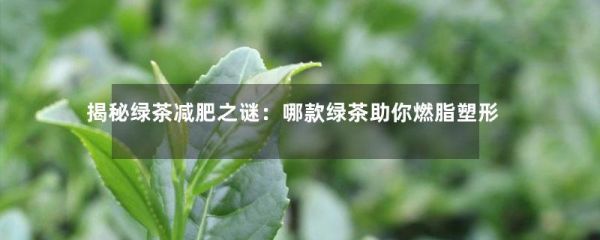 揭秘綠茶減肥之謎：哪款綠茶助你燃脂塑形-第1張-綠茶-鳳凰單叢茶網(wǎng)
