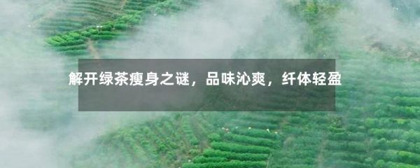解开绿茶瘦身之谜，品味沁爽，纤体轻盈-第1张-绿茶-凤凰单丛茶网