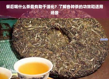 餐后喝什么茶最有助于消化？了解各种茶的功效和适用场景