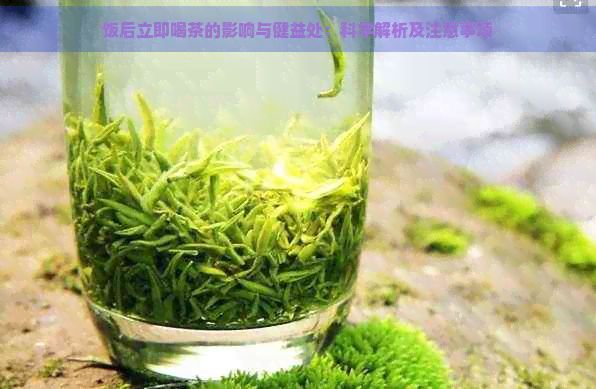 飯后立即喝茶的影響與健益處：科學解析及注意事項