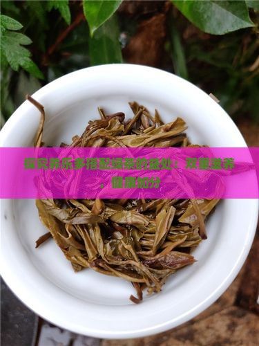 探究養(yǎng)樂(lè)多搭配綠茶的益處：雙重滋養(yǎng)，健康加分
