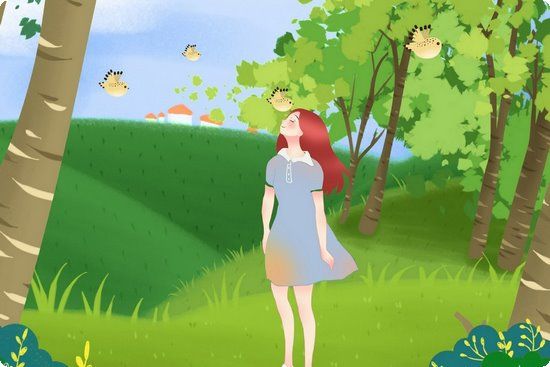 全世界最健康的减肥饮食计划