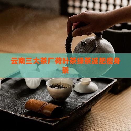 云南三大茶廠荷葉茶綠茶減肥瘦身茶