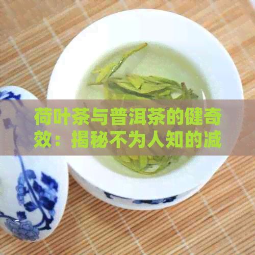 荷葉茶與普洱茶的健奇效：揭秘不為人知的減肥秘