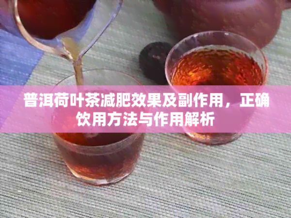 普洱荷葉茶減肥效果及副作用，正確飲用方法與作用解析
