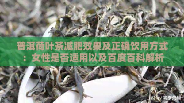 普洱荷葉茶減肥效果及正確飲用方式：女性是否適用以及百度百科解析