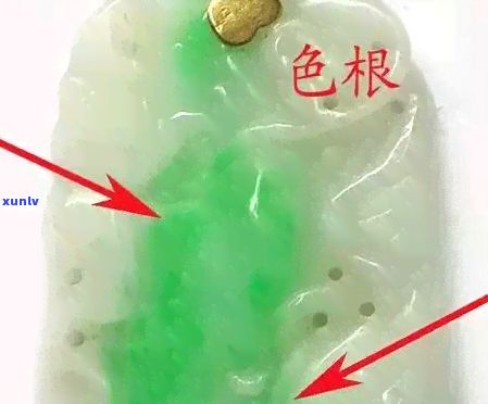 《荷葉普洱茶：科學(xué)飲用時(shí)間與減肥效果全解析》