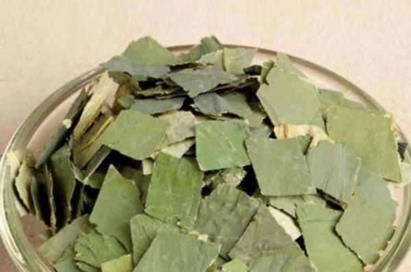 荷叶茶每天喝多少合适_什么时候喝最好？