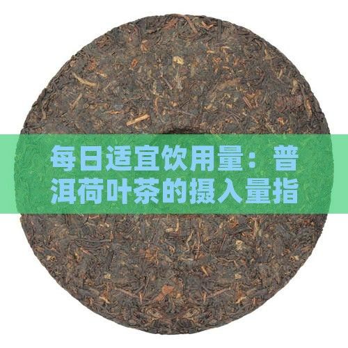 每日適宜飲用量：普洱荷葉茶的攝入量指南