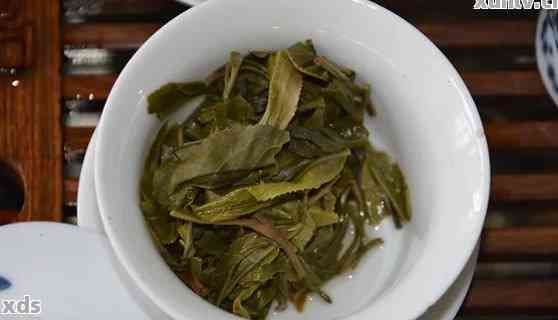 荷叶普洱茶哪个牌子好喝：六大推荐，助你品尝美味