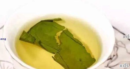 荷叶普洱茶哪个牌子好喝：六大推荐，助你品尝美味