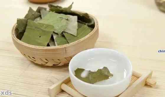 荷叶普洱茶哪个牌子好喝：六大推荐，助你品尝美味