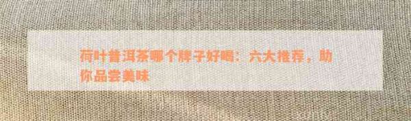 荷叶普洱茶哪个牌子好喝：六大推荐，助你品尝美味
