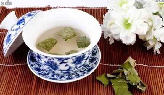 荷叶普洱茶哪个牌子好喝：六大推荐，助你品尝美味