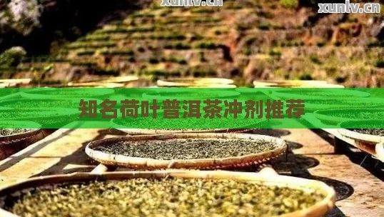 知名荷葉普洱茶沖劑推薦