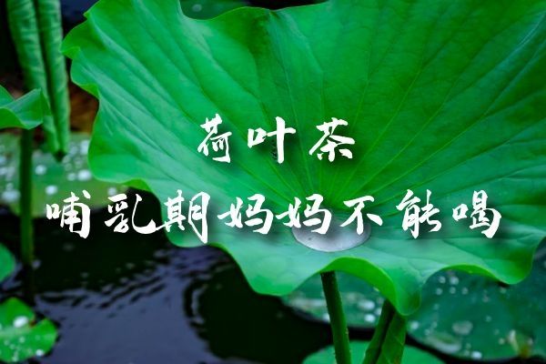 哺乳期媽媽不能喝.jpg