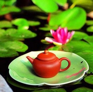 減肥的方法最科學的方法_科學減肥的具體方法和步驟_科學減脂方法