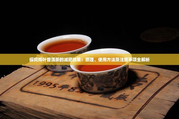 探究荷葉普洱茶的減肥效果：原理、使用 及注意事項(xiàng)全解析