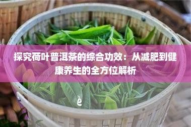 探究荷葉普洱茶的綜合功效：從減肥到健康養(yǎng)生的全方位解析