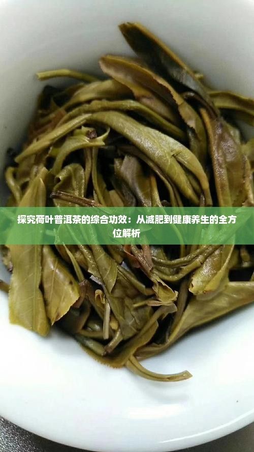 探究荷葉普洱茶的綜合功效：從減肥到健康養(yǎng)生的全方位解析