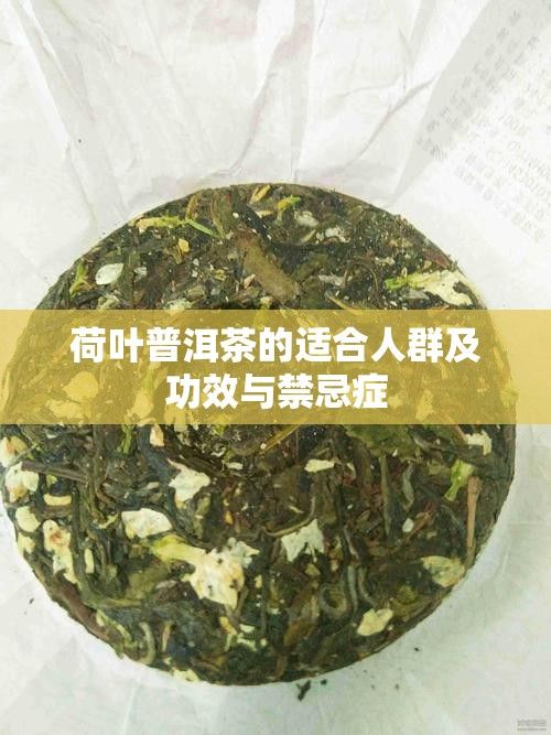 荷葉普洱茶的適合人群及功效與禁忌癥