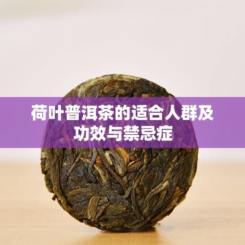 荷葉普洱茶的適合人群及功效與禁忌癥