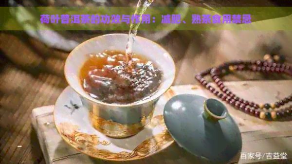 荷葉普洱茶的功效與作用：減肥、熟茶食用禁忌