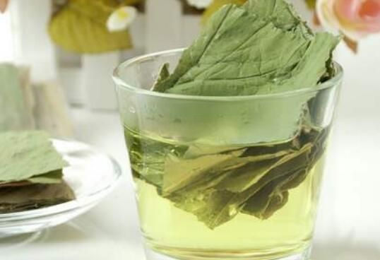 荷葉減肥茶的功效與作用及禁忌