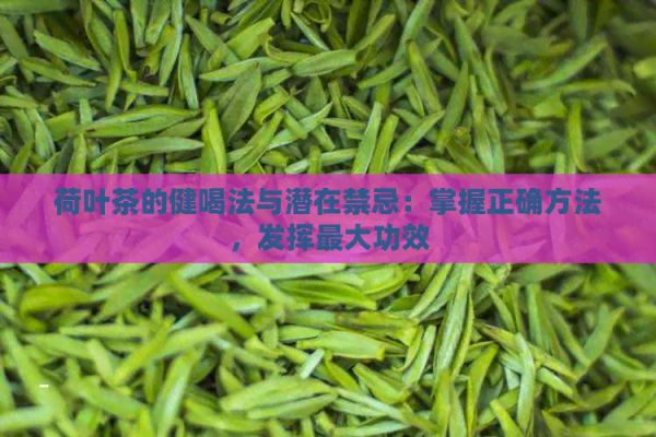 荷葉茶的健喝法與潛在禁忌：掌握正確方法，發(fā)揮更大功效