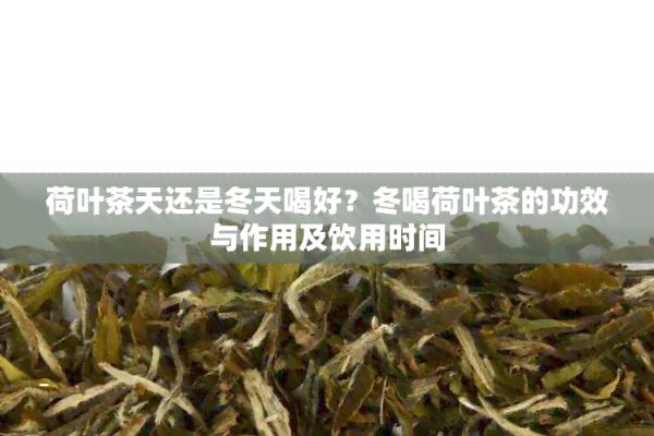 荷葉茶天還是冬天喝好？冬喝荷葉茶的功效與作用及飲用時(shí)間