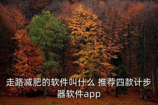 走路減肥的軟件叫什么 推薦四款計(jì)步器軟件app