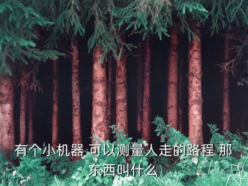 有個(gè)小機(jī)器 可以測(cè)量人走的路程 那東西叫什么