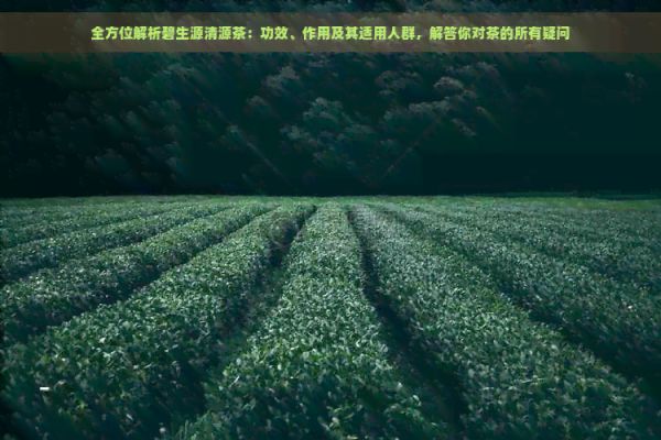 全方位解析碧生源清源茶：功效、作用及其適用人群，解答你對茶的所有疑問