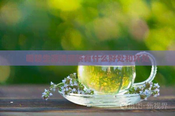 喝碧生源清源茶有什么好處和壞處