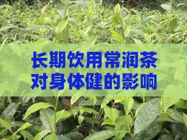 長期飲用常潤茶對身體健的影響分析