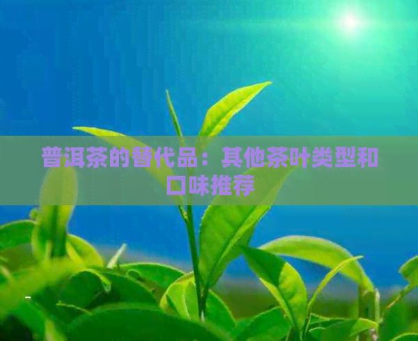 普洱茶的替代品：其他茶叶类型和口味推荐