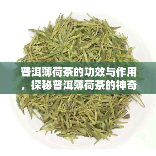 普洱薄荷茶的功效與作用，探秘普洱薄荷茶的神奇功效與作用